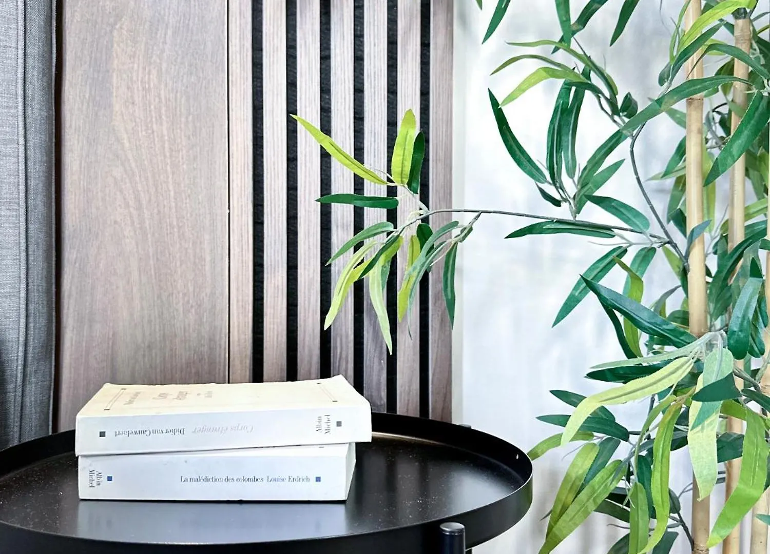 Chic Flat In Pantheon & Luxembourg Garden Apartment Paris France